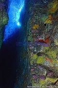 Ambiance grotte-Acores Maria Grotte bleue-15m-20170819-Denis-ADER-DSC_9420_tn_tn